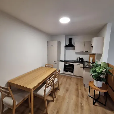 Daire City Apartment Steyr